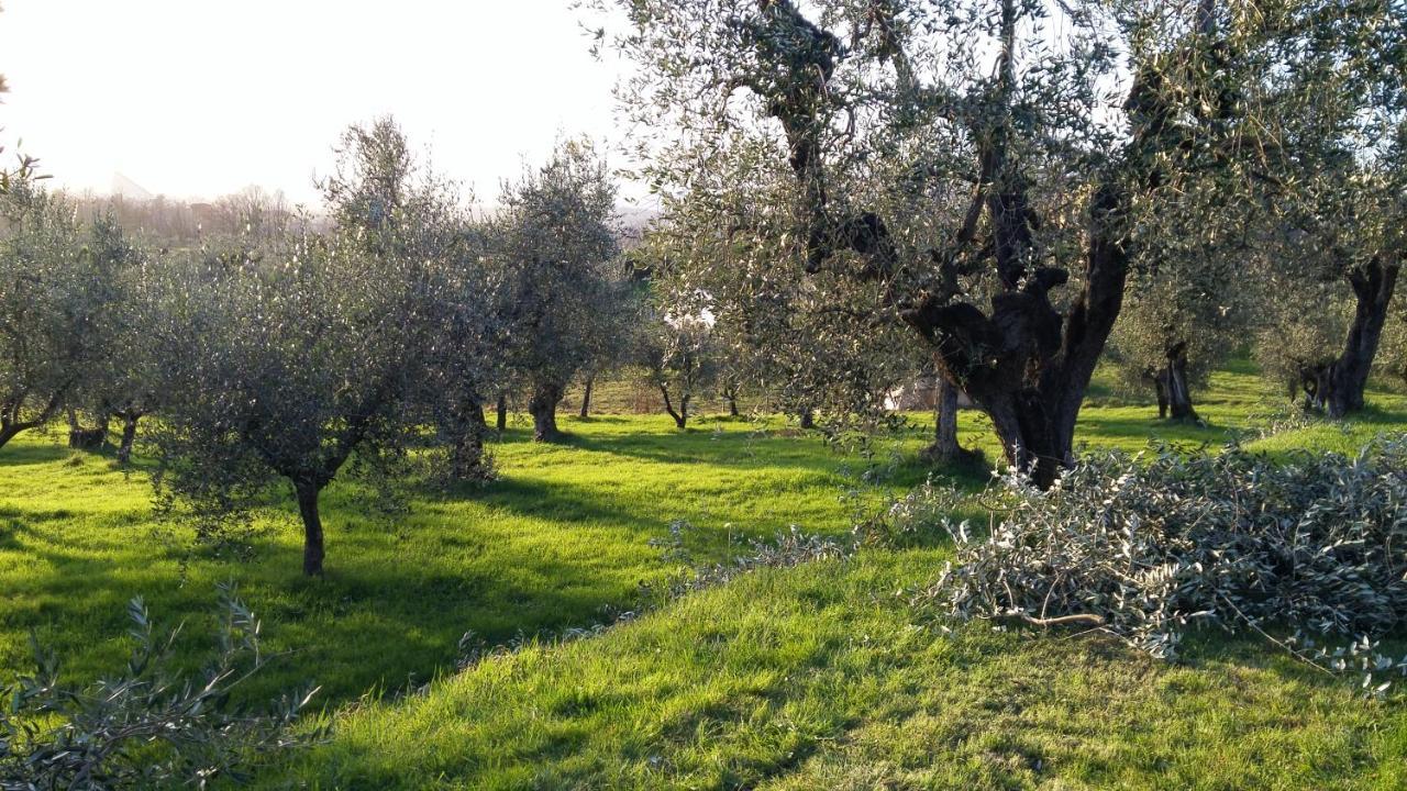 Villa Casa "Il Brio" à Pistoia Extérieur photo