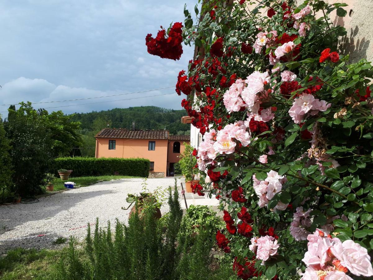 Villa Casa "Il Brio" à Pistoia Extérieur photo